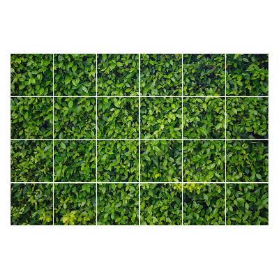 Csempe dekor matrica Sűrű zöld levelek