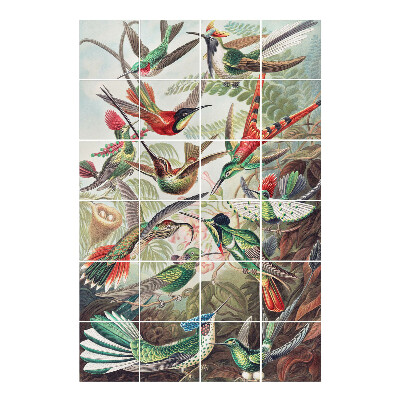 Csempe dekor matrica Madárparadicsom a trópusokon