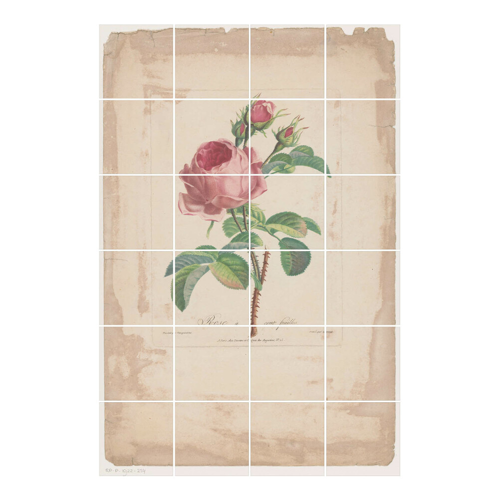 Vízálló csempe matrica Rózsa levelekkel és rügyekkel