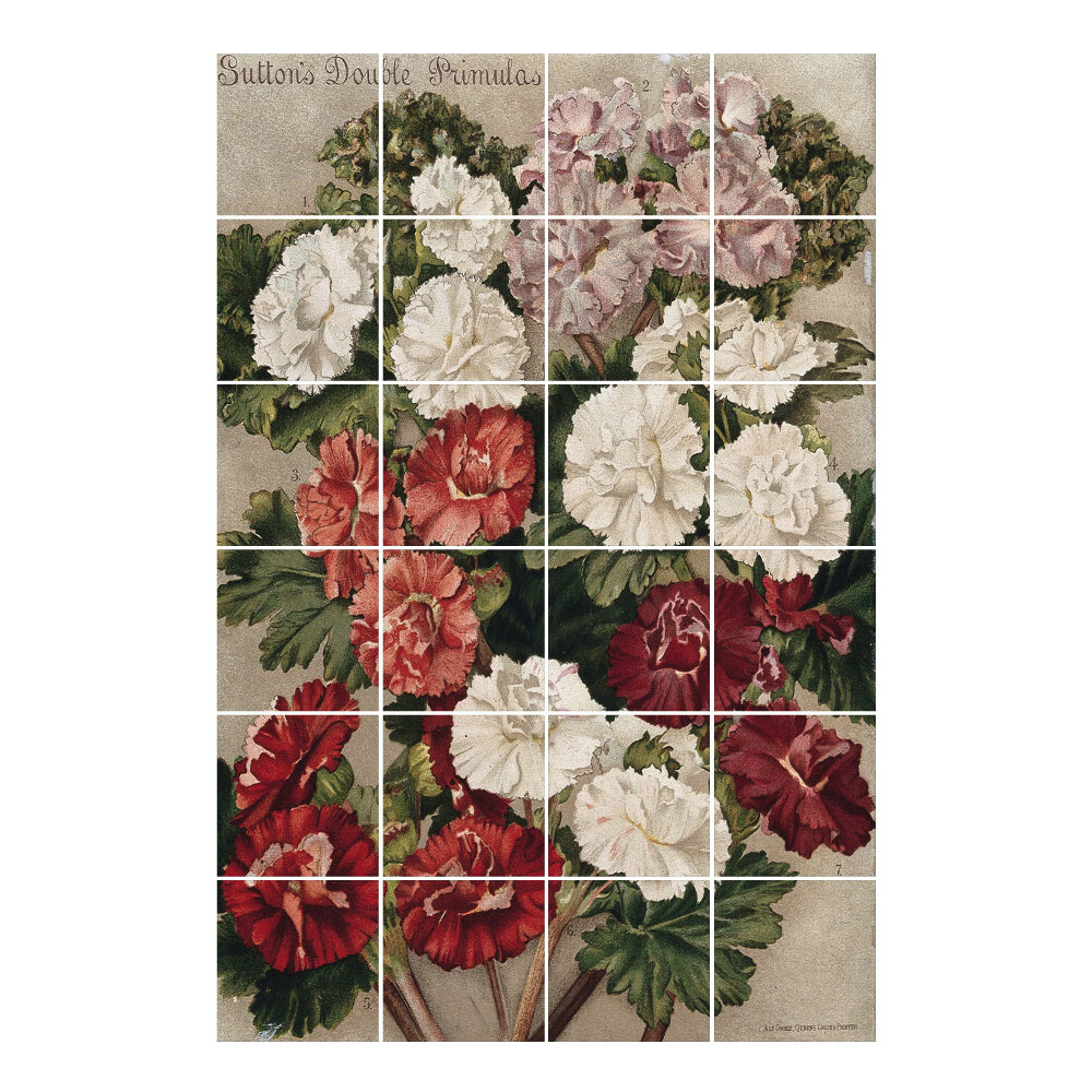 Csempematrica Primula virágkötészet