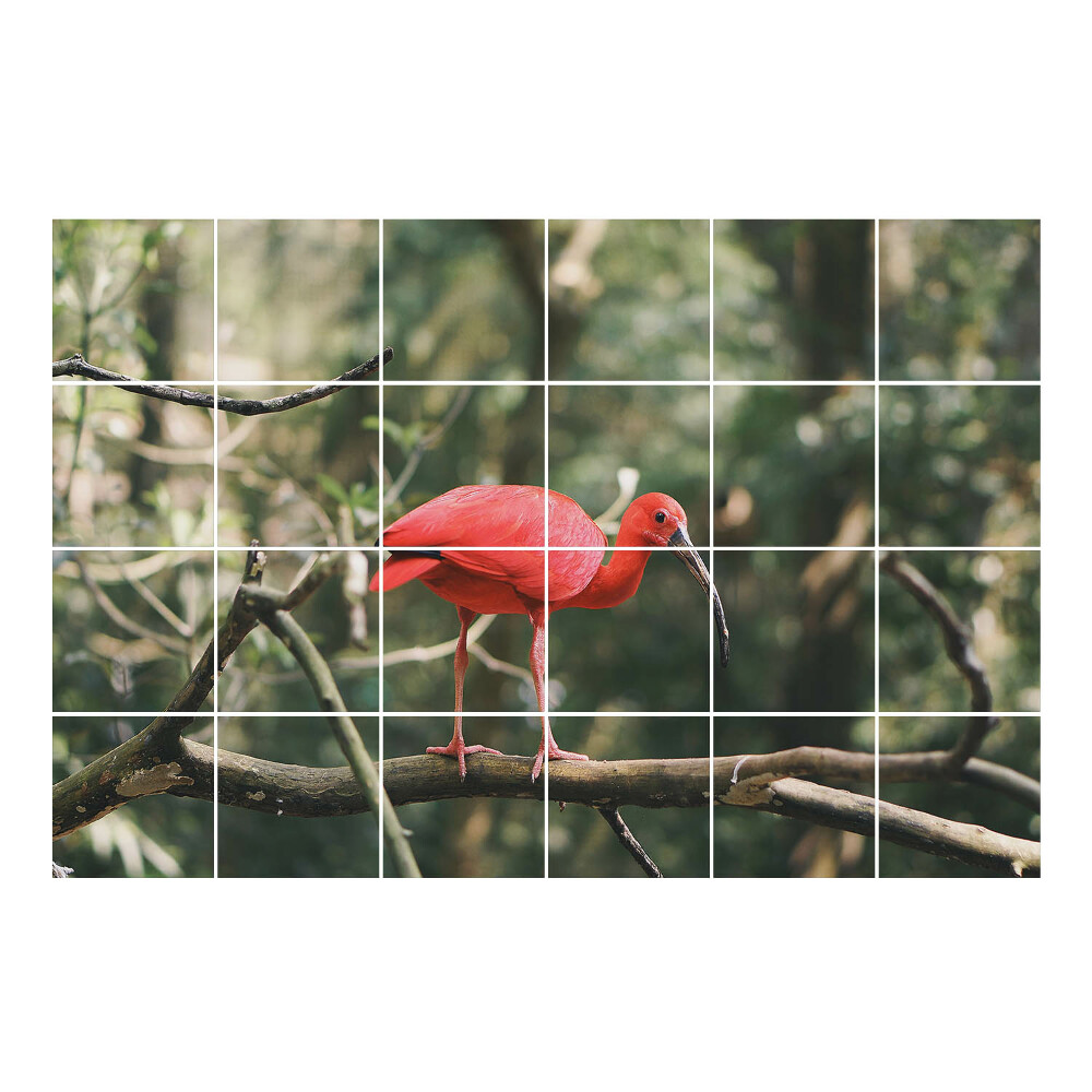 Vízálló csempe fólia Ibisz egy ágon