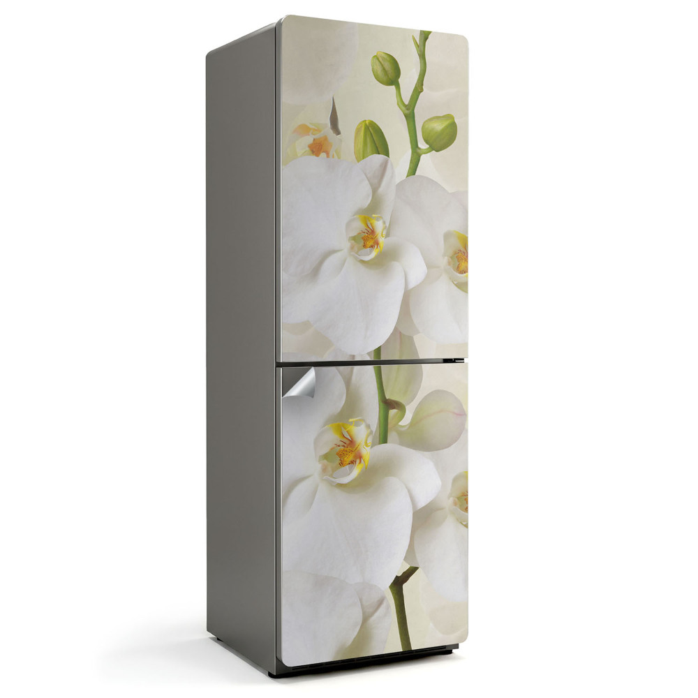 Hűtő matrica Orchidea virágos részletek