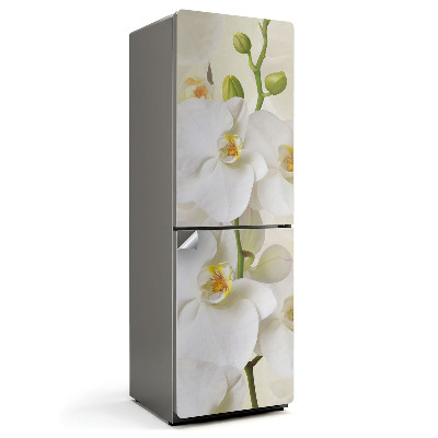 Hűtő matrica Orchidea virágos részletek