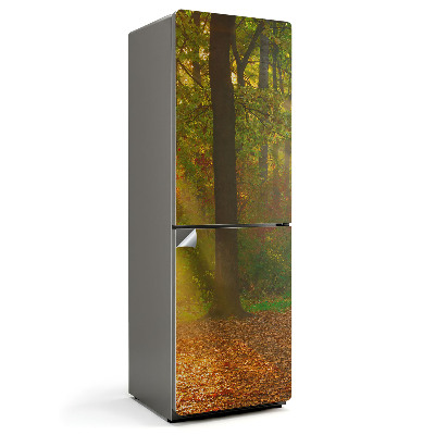 Dekor matrica hűtőre Varázslatos erdei táj