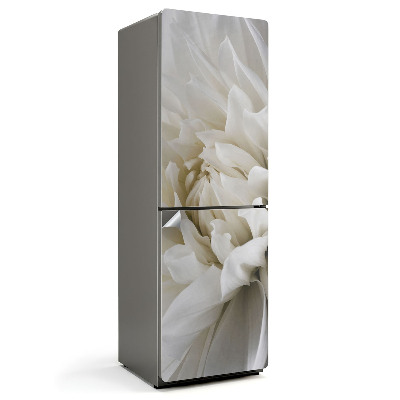 Dekor matrica hűtőre Finom virágszirmok