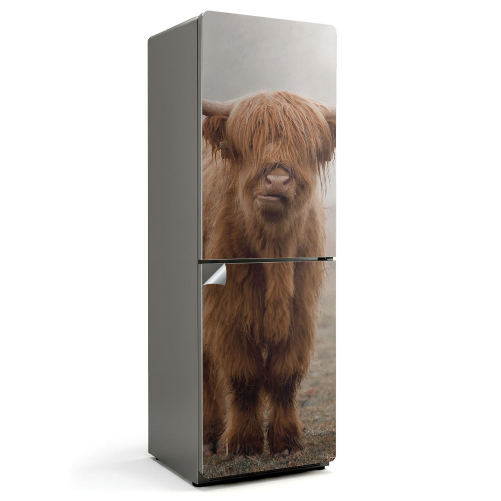 Hűtőszekrényre matrica Fiatal szarvasmarhák a misztikus ködben