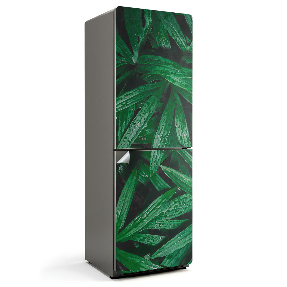 Dekor matrica hűtőre Levelek vízcseppekkel