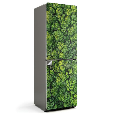 Dekor matrica hűtőre Kilátás felülről egy sűrű erdőre