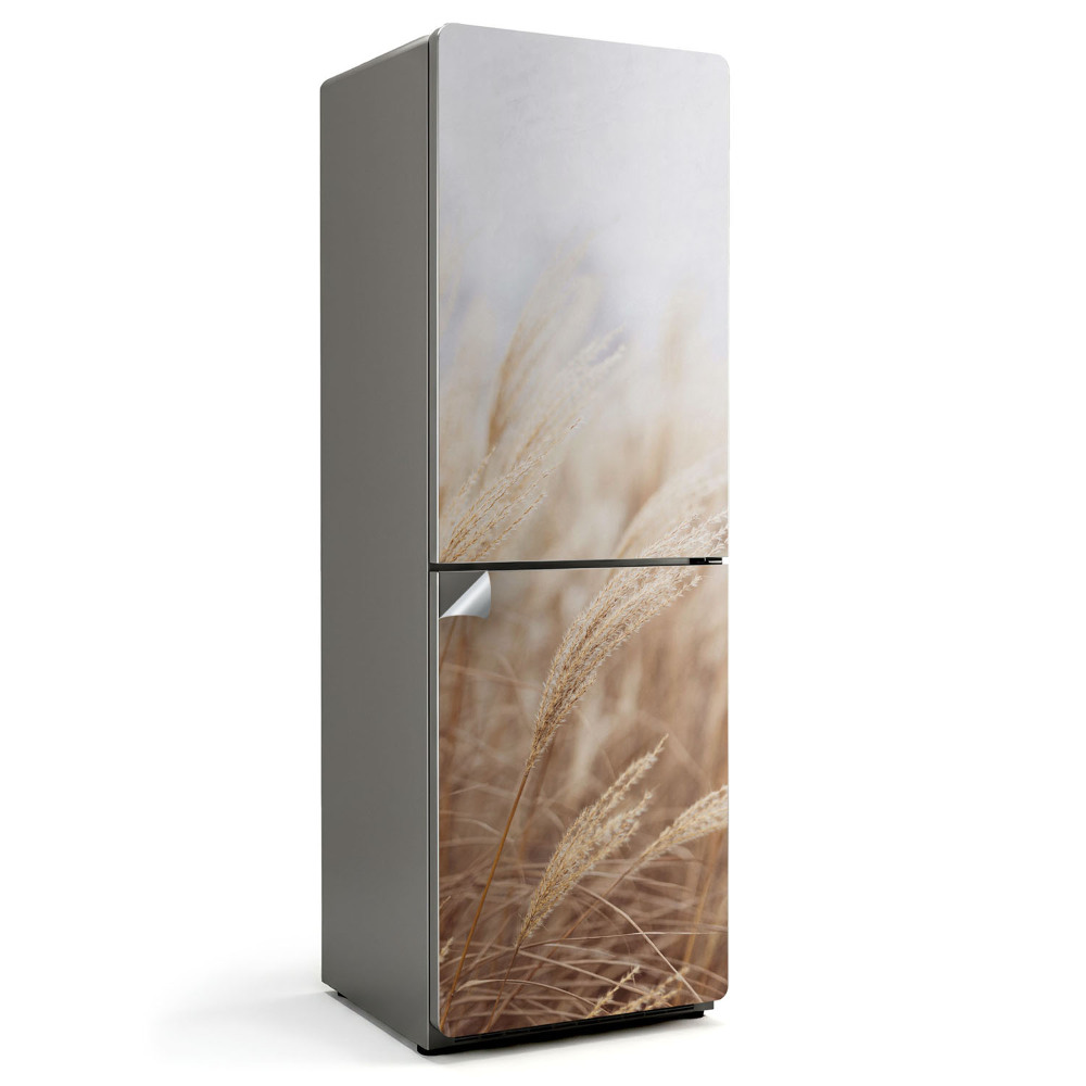 Hűtő dekor matrica Napos fűszálak