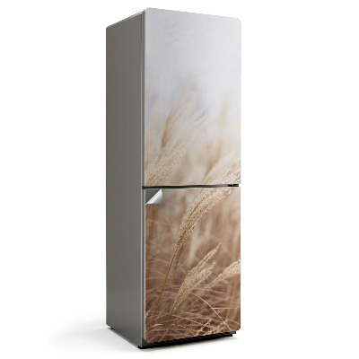 Hűtő dekor matrica Napos fűszálak