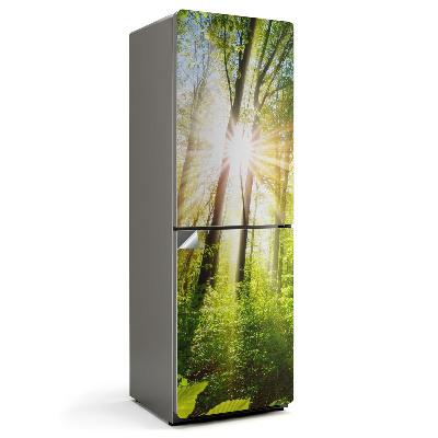 Hűtő matrica Átható napfény sugarak