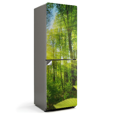 Hűtőszekrényre matrica Napsugarak az erdőben
