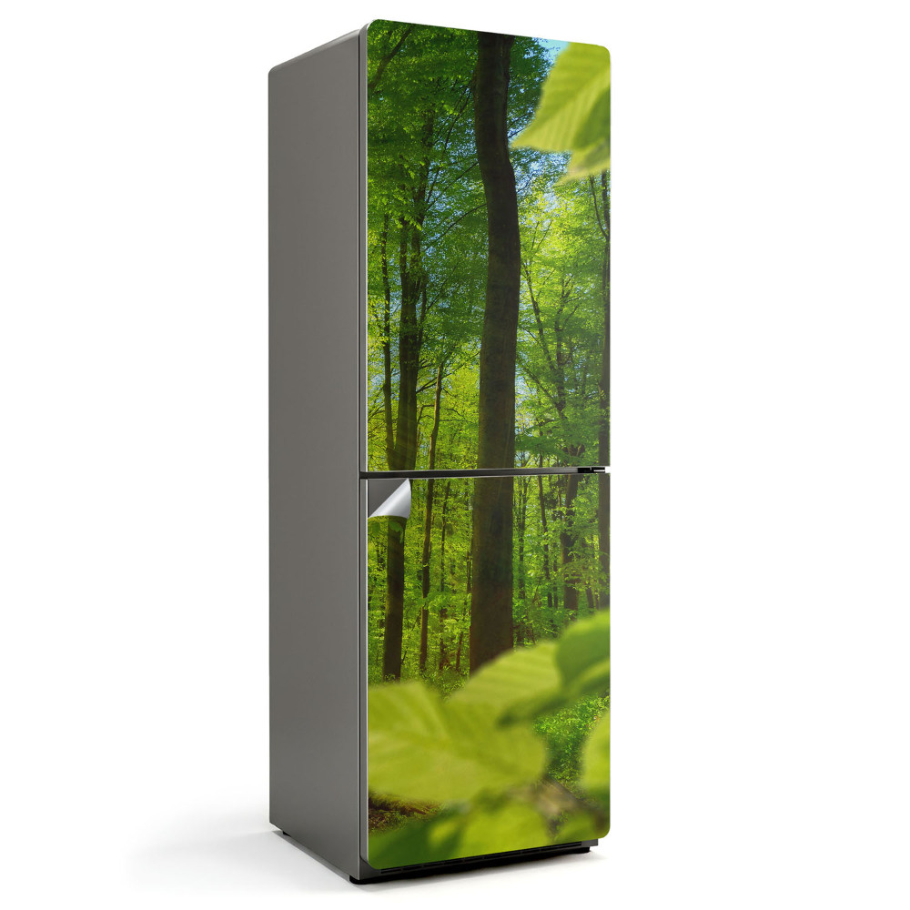 Dekor matrica hűtőre Zöld erdő a napsütésben