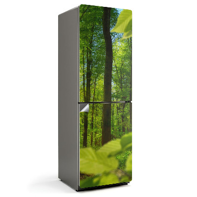 Dekor matrica hűtőre Zöld erdő a napsütésben