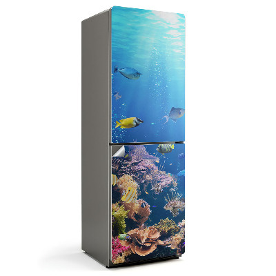 Hűtő dekor matrica A korallok víz alatti világa