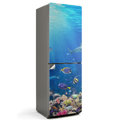 Hűtő matrica A halak víz alatti világa