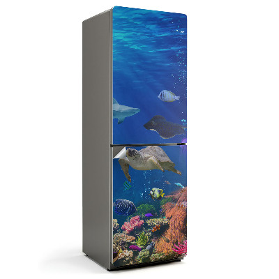 Hűtőszekrényre matrica Egy élettel teli víz alatti világ