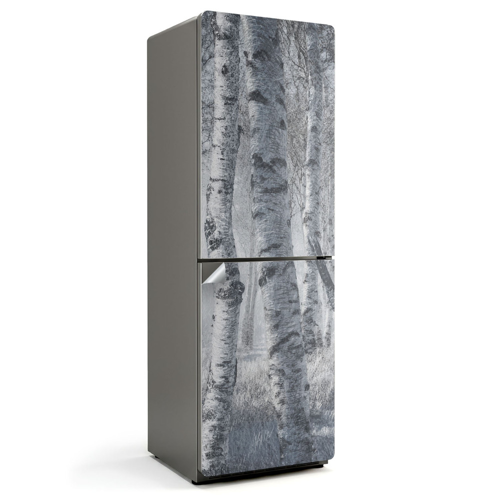 Hűtő dekor matrica Ködös nyírfaerdő