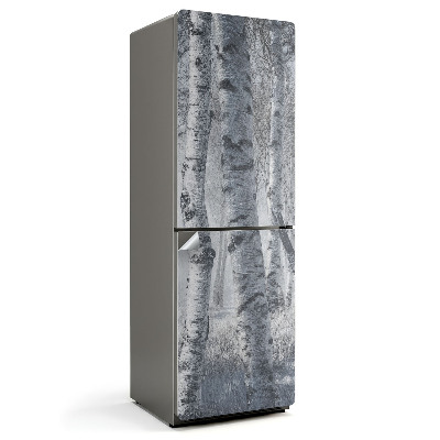 Hűtő dekor matrica Ködös nyírfaerdő