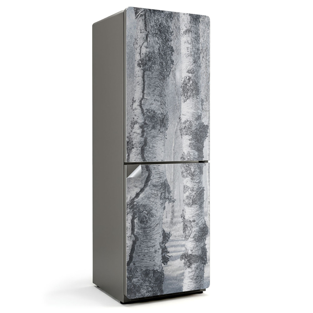 Hűtő matrica Ködös nyírfaerdő