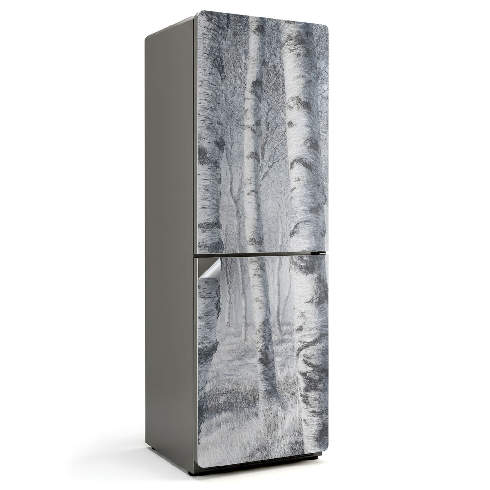 Hűtőszekrényre matrica Erdő táj fákkal