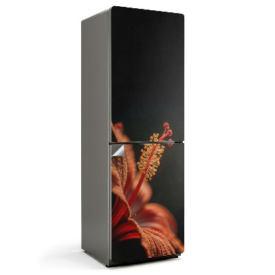 Hűtő matrica Egy finom virág közelről