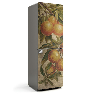 Dekor matrica hűtőre Egy ág citrusfélékkel