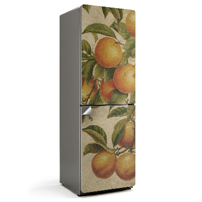 Hűtő matrica Gyümölcs az ágon