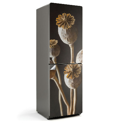 Hűtő matrica Szárított pipacsok vázában