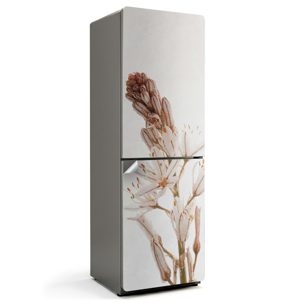 Hűtőszekrényre matrica Finom növény közeli képe