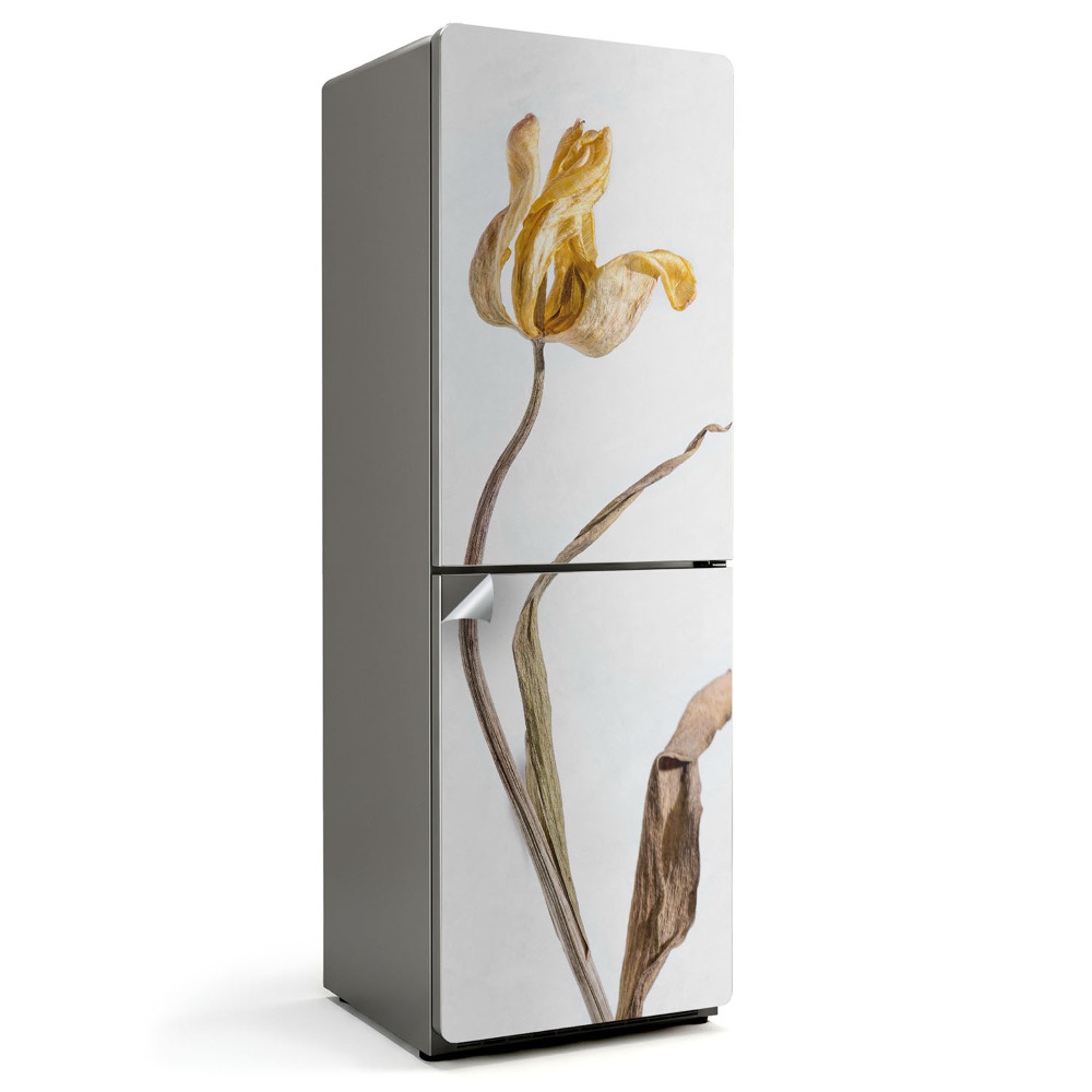 Dekor matrica hűtőre Egy elszáradt tulipánvirág