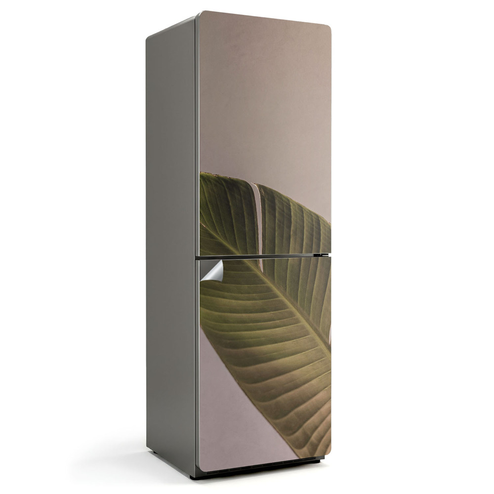 Hűtő dekor matrica Egy levél, amelynek jellegzetes erezete van