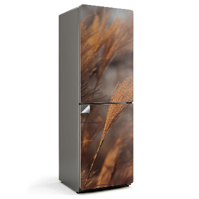 Hűtőszekrényre matrica Finom fűszálak