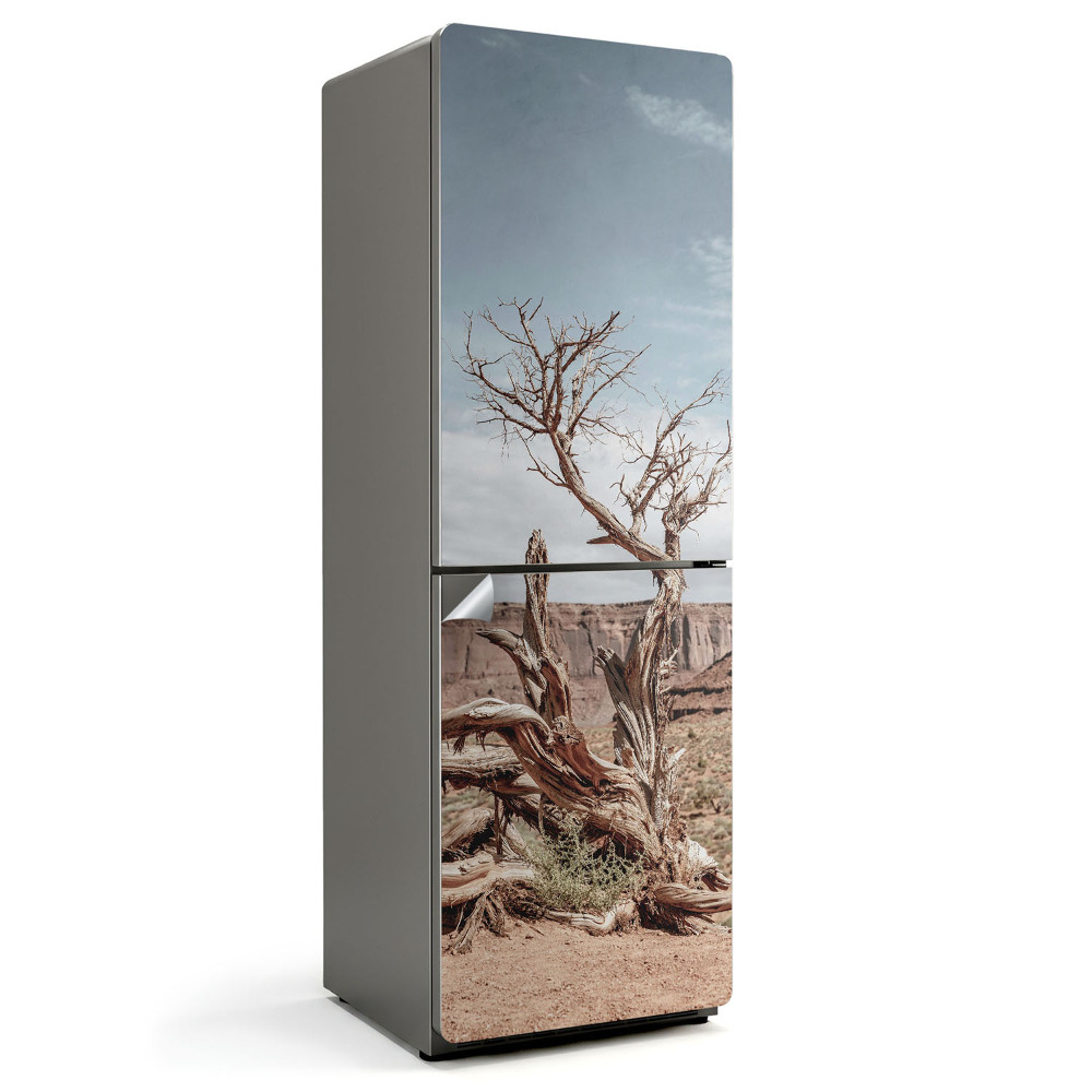 Hűtő matrica Csavart fatörzs