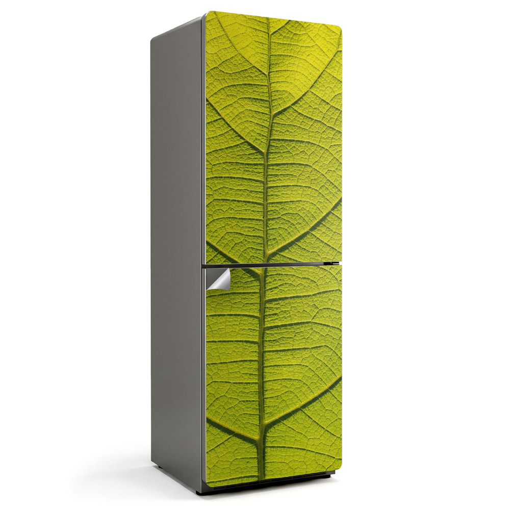 Hűtő matrica Egy növényi levél részlete