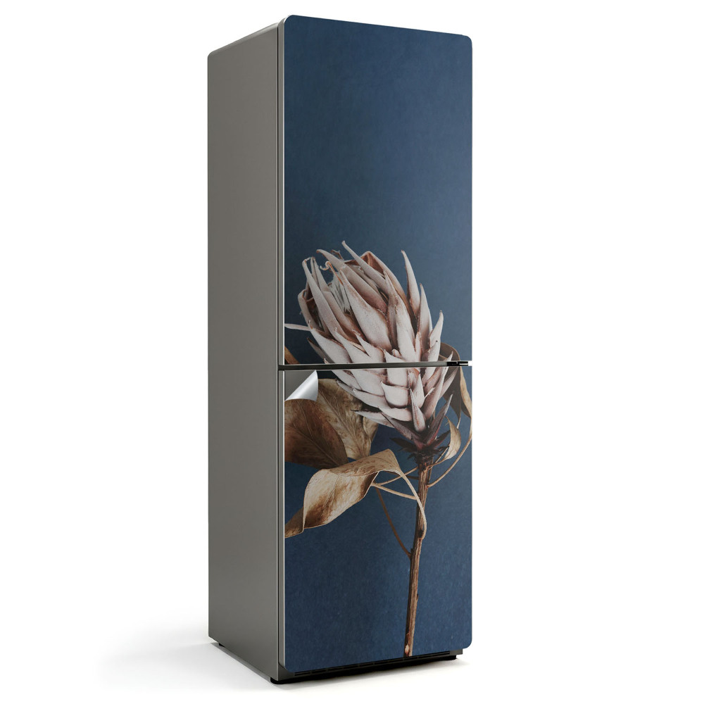 Hűtőszekrényre matrica Szárított növény közeli képe