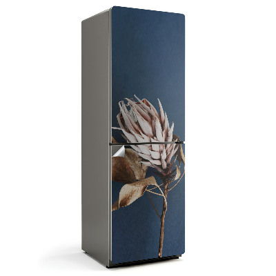 Hűtőszekrényre matrica Szárított növény közeli képe