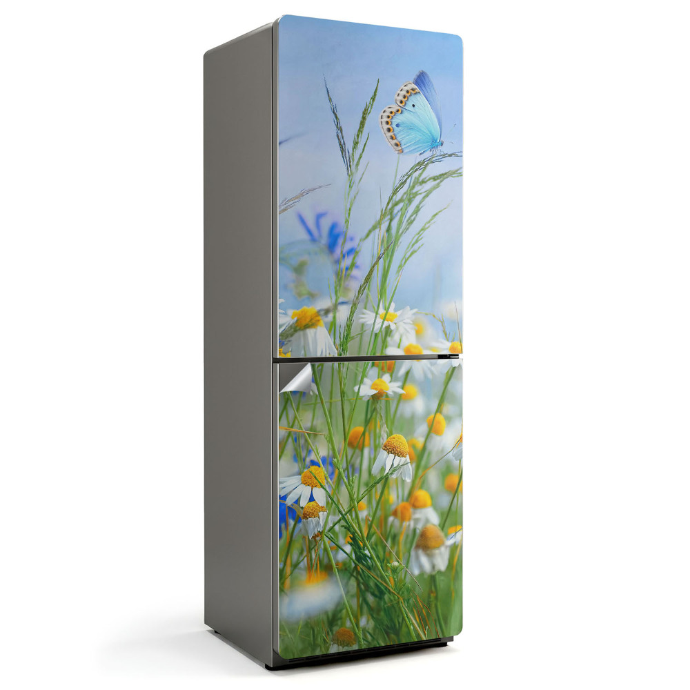 Dekor matrica hűtőre Egy pillangó a rét hátterében