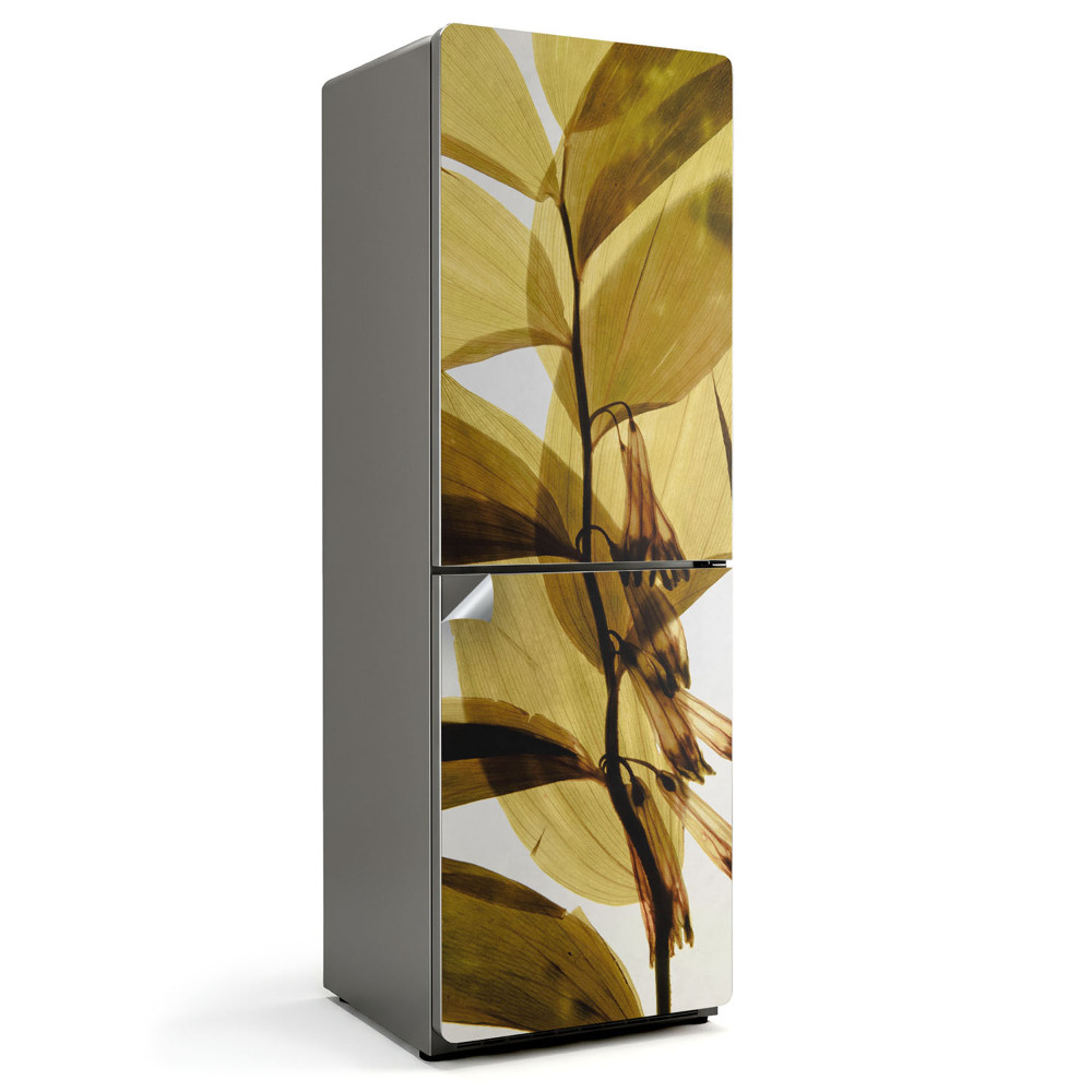 Hűtőszekrényre matrica Átlátszó levelek és virágok