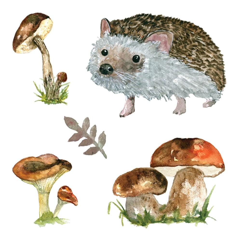 Falmatricák babaszobába 80x124 Akvarell gombák és egy sündisznó erdei tájban