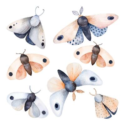 Nagyméretű falmatricák 60x77 Pasztell árnyalatú bohém lepkék és színes rovarok