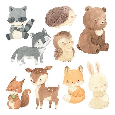 Faltetoválások 100x174 Aranyos akvarell illusztrációk erdei állatokról