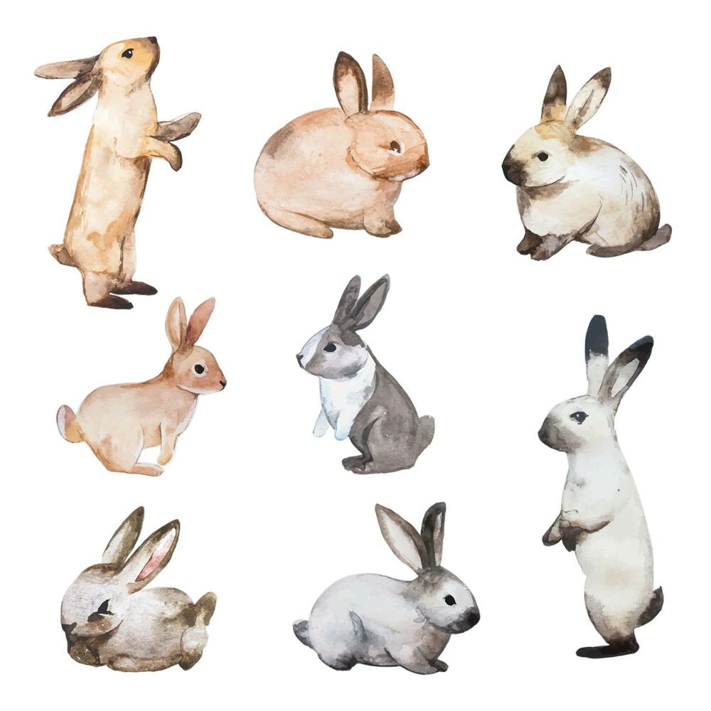 Matricák gyerekeknek 130x235 Nyuszik finom akvarell stílusban