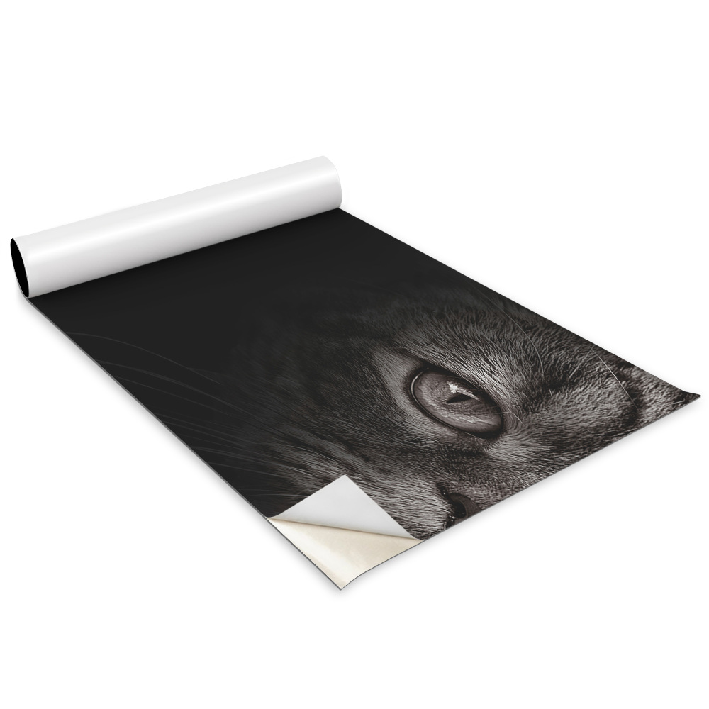 Öntapadós bútor matrica Kutya és macska